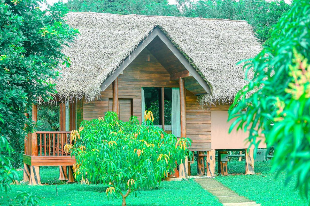 Sigiriya Water Cottage Zewnętrze zdjęcie