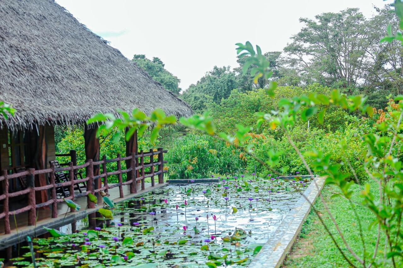 Sigiriya Water Cottage Zewnętrze zdjęcie