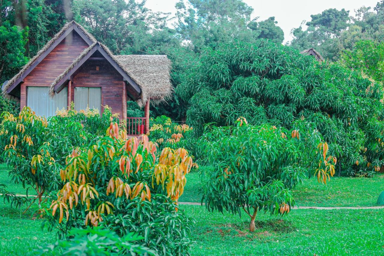 Sigiriya Water Cottage Zewnętrze zdjęcie