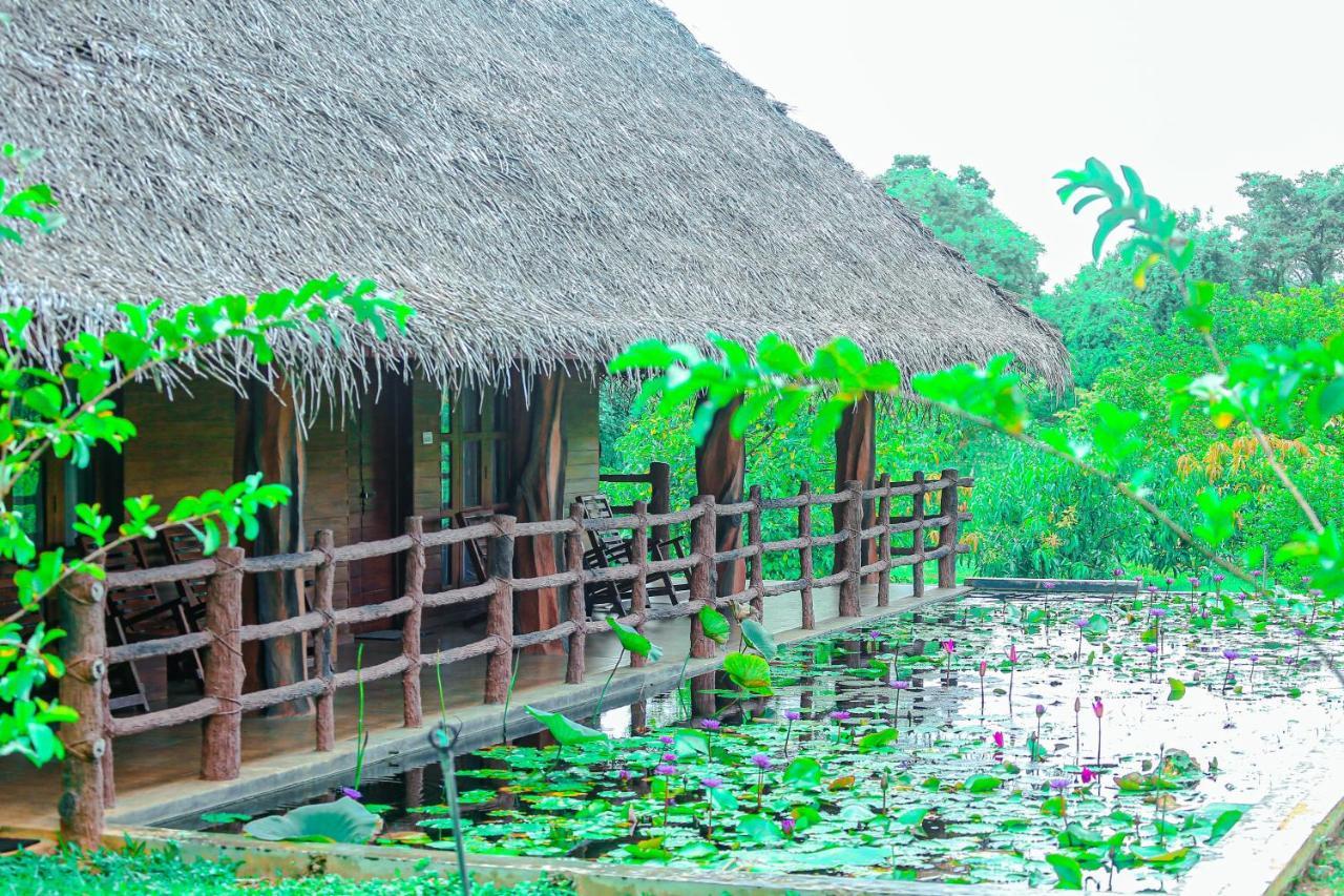 Sigiriya Water Cottage Zewnętrze zdjęcie