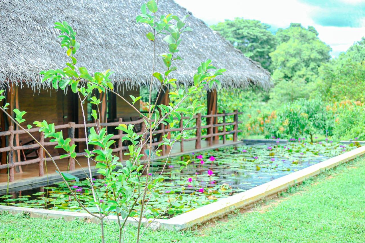 Sigiriya Water Cottage Zewnętrze zdjęcie