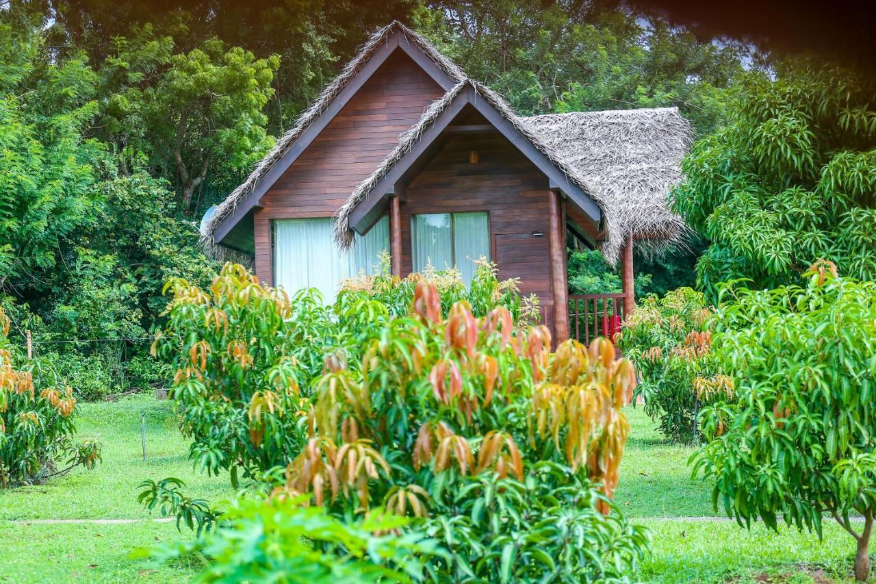 Sigiriya Water Cottage Zewnętrze zdjęcie