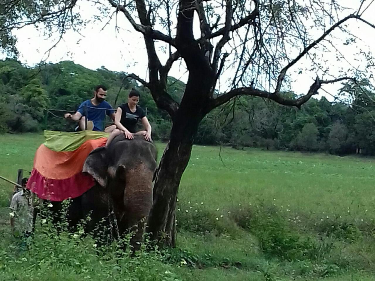 Sigiriya Water Cottage Zewnętrze zdjęcie